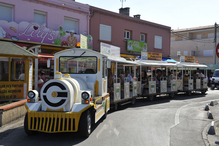 Les Pingouins Languedoc-Roussillon - Argelès-sur-Mer visuel 5/8