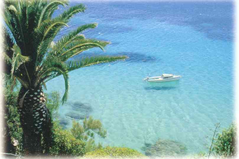 Les Pingouins Languedoc-Roussillon - Argelès-sur-Mer visuel 8/8