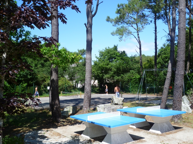 Les Pins Bretagne - Crozon visuel 3/8