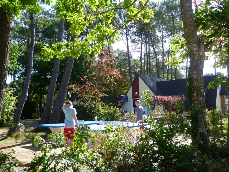 Les Pins Bretagne - Crozon visuel 5/8