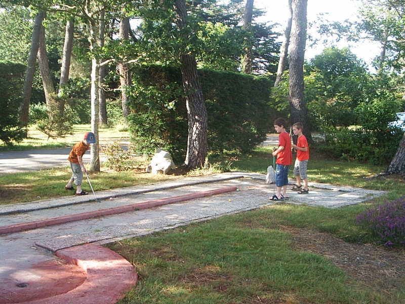 Les Pins Bretagne - Crozon visuel 6/8