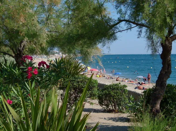 Camping Les Pins Languedoc-Roussillon - Argelès-sur-Mer visuel 10/12