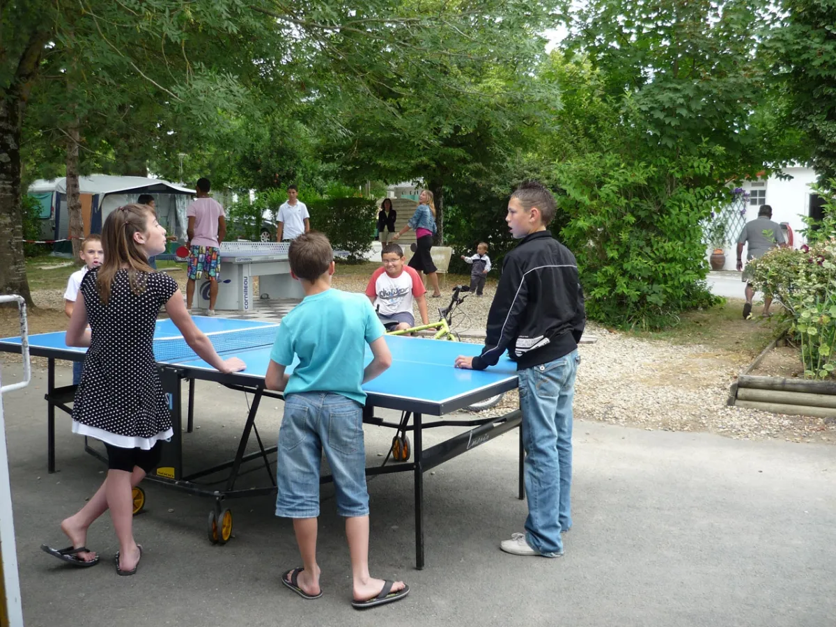 Camping Les Pins Poitou-Charentes - Saint-Palais-sur-Mer visuel 8/11