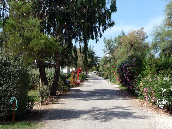 Les Pins Maritimes Provence-Alpes-Côte d'Azur - Hyères visuel 2/10