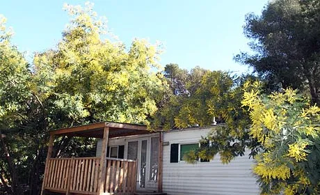 Camping Les Playes Provence-Alpes-Côte d'Azur - Six Fours les Plages visuel 8/9