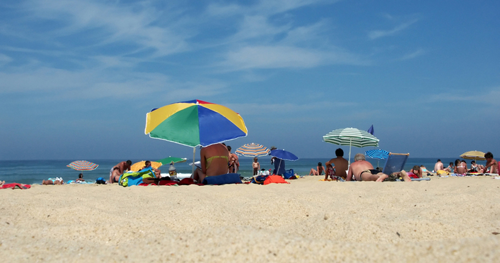 Les Prairies de L'Etang Pays de Loire - Assérac visuel 2/9