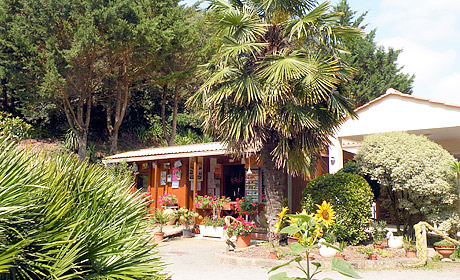 Les Ramiers Pays de Loire - Longeville sur Mer visuel 1/1