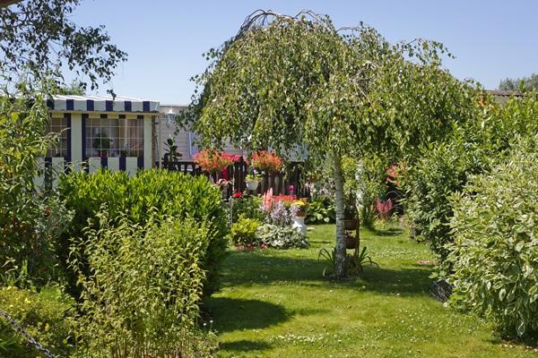 Les Résidences La Becque Nord-Pas de Calais - Warhem visuel 6/9