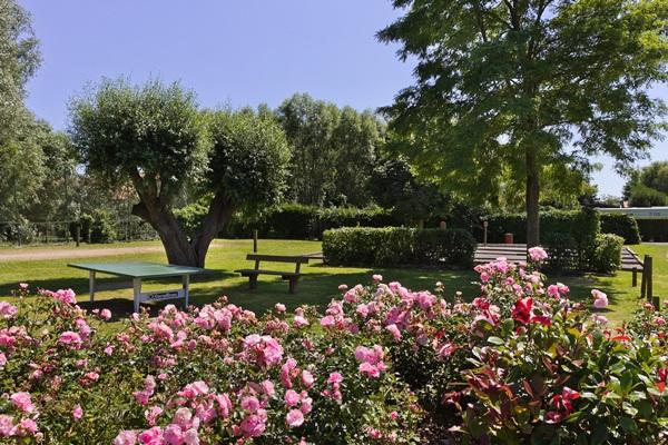 Les Résidences La Becque Nord-Pas de Calais - Warhem visuel 7/9