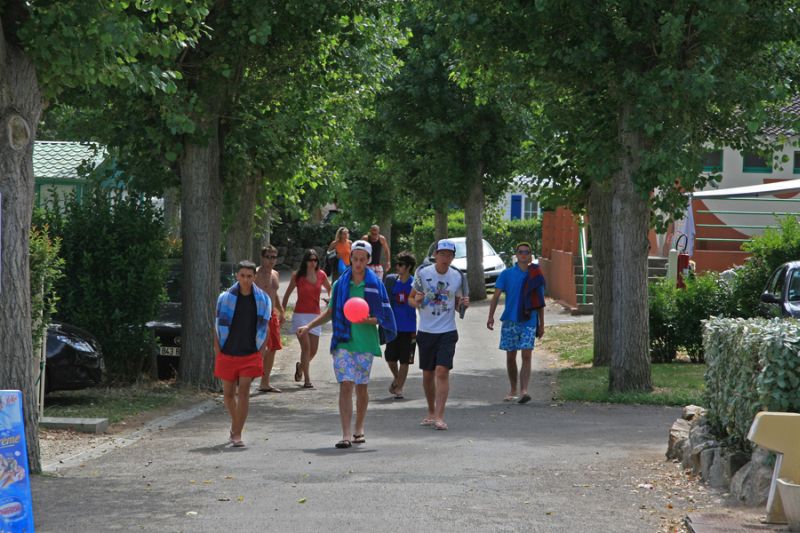 Les Roses Países del Loira - Les Sables-d'Olonne visuel 10/11