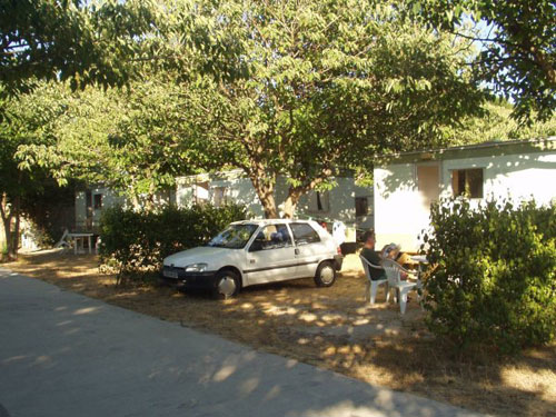 L'Arlésienne Provence-Alpes-Côte d'Azur - Arles visuel 2/8
