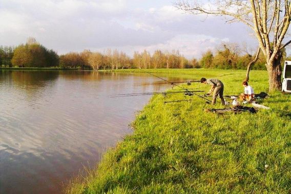 Les Rulières Pays de Loire - Saint-Valérien visuel 4/5