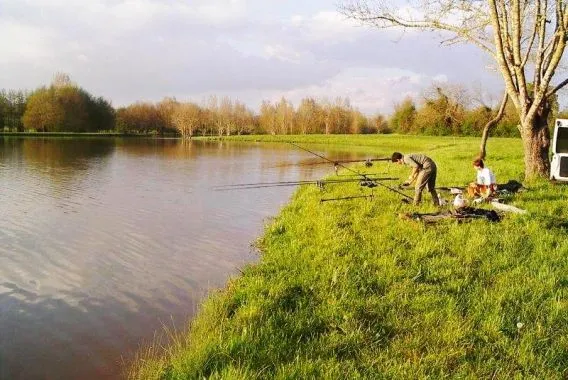 Camping Les Rulières Pays de Loire - Saint-Valérien visuel 3/5
