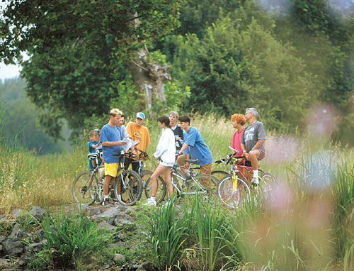Les Sables de Cordouan Poitou-Charentes - Les Mathes-La Palmyre visuel 7/10