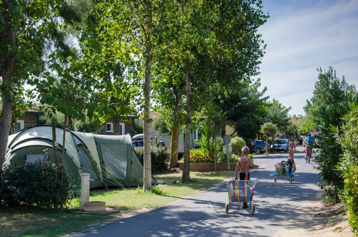 Camping Les Sablons Languedoc-Roussillon - Portiragnes visuel 20/25