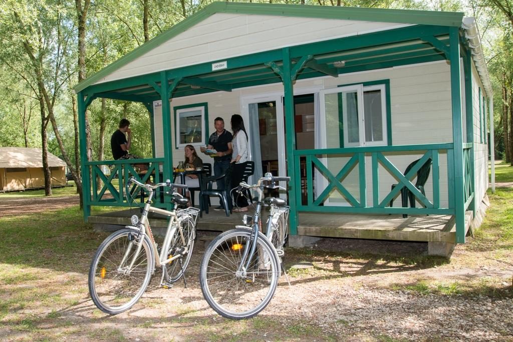Les Saules Grand Centre - Cheverny visuel 10/11 Les Saules Grand Centre - Cheverny visuel 10/11