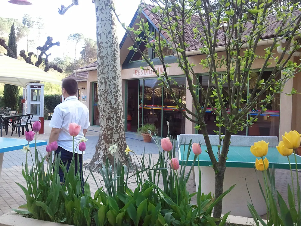 Camping Les Sources Languedoc-Roussillon - Saint-Jean-du-Gard visuel 3/10