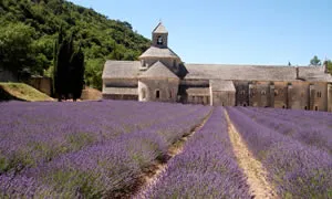 Camping Les Sources Provence-Alpes-Côte d'Azur - Gordes visuel 8/9