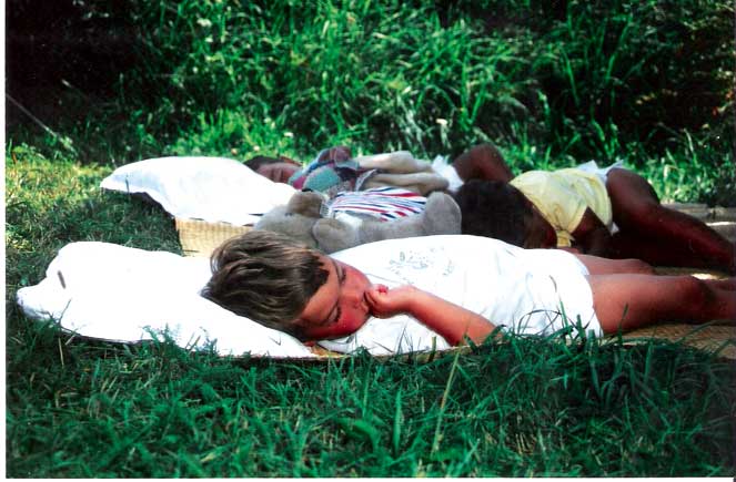 Les Terrasses du Lac Midi-Pyrénées - Pont-de-Salars visuel 9/11