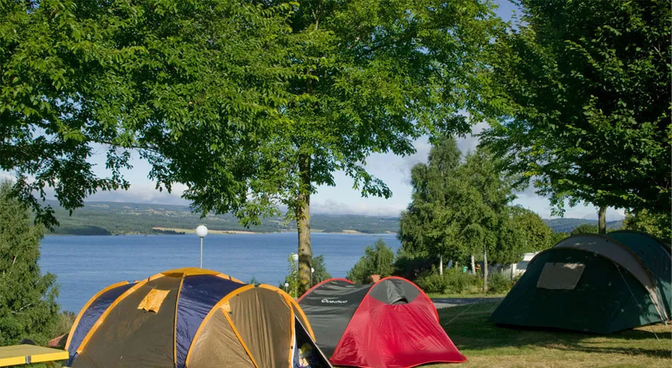 Camping Les Terrasses du Lac Languedoc-Roussillon - Langogne visuel 9/9