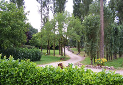 Les Tournesols Países del Loira - Le Grez visuel 5/5