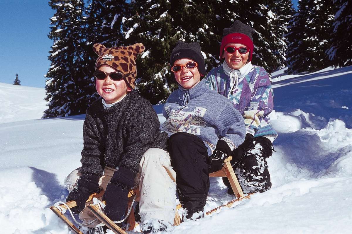 Les Trois Oiseaux Franche-Comté - Prémanon visuel 1/1