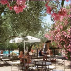 Camping Les Verguettes Provence-Alpes-Côte d'Azur - Villes-sur-Auzon visuel 4/5