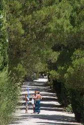 Camping Les Verguettes Provence-Alpes-Côte d'Azur - Villes-sur-Auzon visuel 2/5