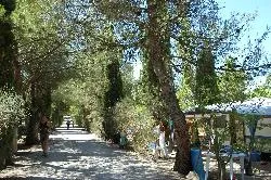 Camping Les Verguettes Provence-Alpes-Côte d'Azur - Villes-sur-Auzon visuel 3/5