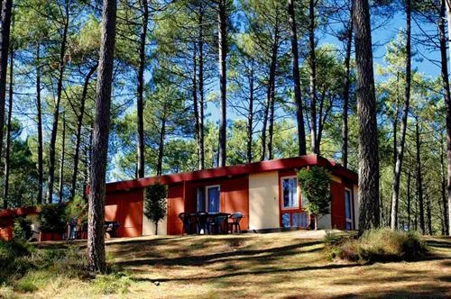 Camping Les Villages sous les Pins Aquitaine - Léon visuel 2/10
