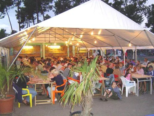 Camping L'Estanquet Poitou-Charentes - Les Mathes-La Palmyre visuel 11/13