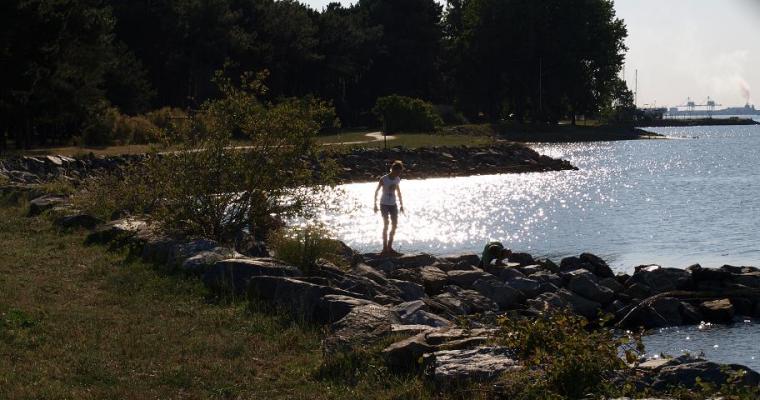 L'Estuaire Pays de Loire - Paimboeuf visuel 7/10