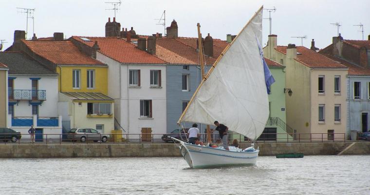 L'Estuaire Pays de Loire - Paimboeuf visuel 9/10