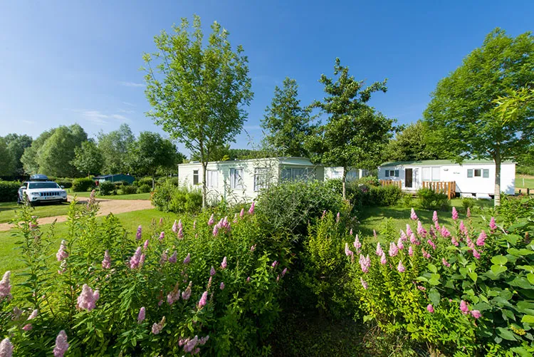 Camping l'Etang Pays de Loire - Brissac Quincé visuel 11/11
