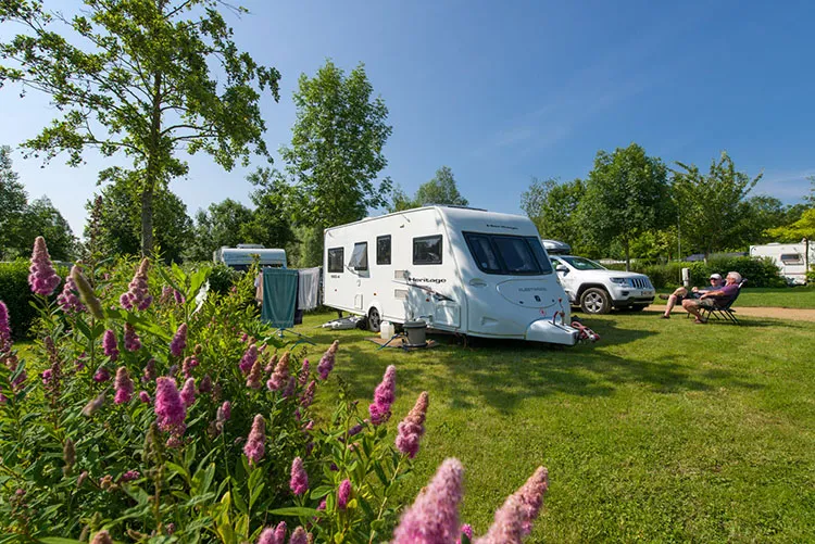 Camping l'Etang Pays de Loire - Brissac Quincé visuel 9/11