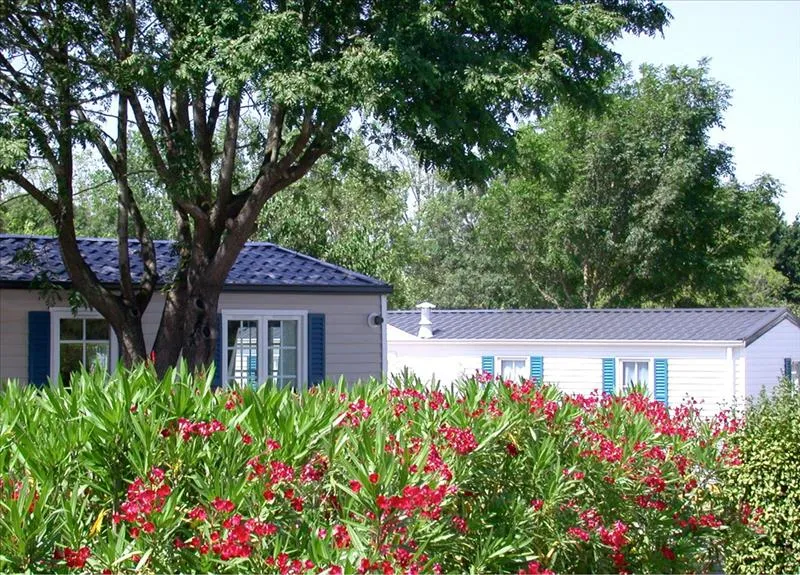 Camping L'Eve Pays de Loire - Saint-Marc-sur-Mer visuel 9/17