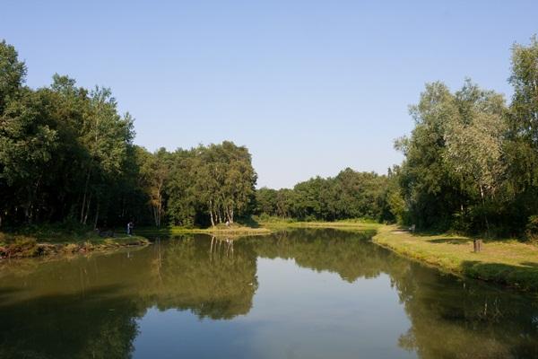 l'Hermitage Nord-Pas de Calais - Helfaut visuel 3/7 l'Hermitage Nord-Pas de Calais - Helfaut visuel 3/7