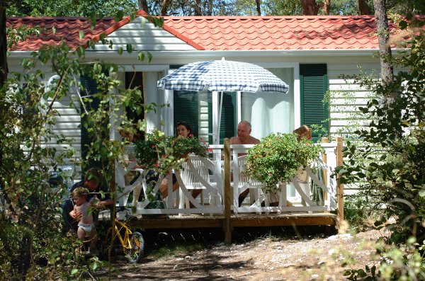 L'Hirondelle Rhône-Alpes - Menglon visuel 10/10
