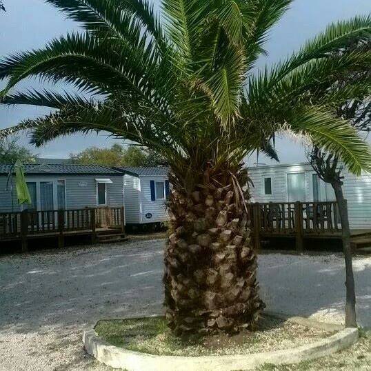 L'Horizon Languedoc-Roussillon - Frontignan visuel 1/1 L'Horizon Languedoc-Roussillon - Frontignan visuel 1/1