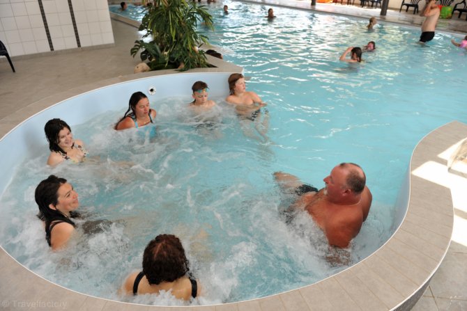L'ile aux Oiseaux Pays de Loire - L'Île-d'Olonne visuel 3/8