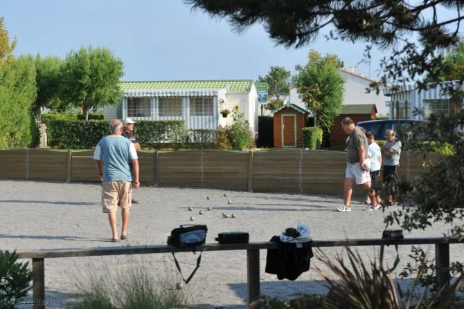 Camping L'ile aux Oiseaux Pays de Loire - L'Île-d'Olonne visuel 5/8