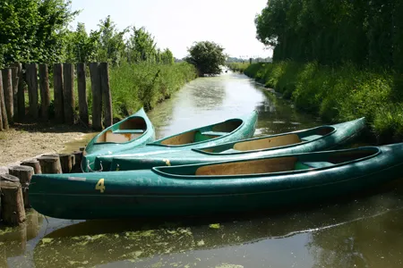 Camping L'Ile Cariot Pays de Loire - Chaillé-les-Marais visuel 9/9