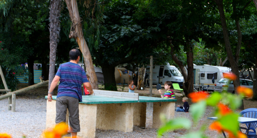L'Ile d'Or Provenza-Alpes-Costa Azul - Hyères visuel 14/32