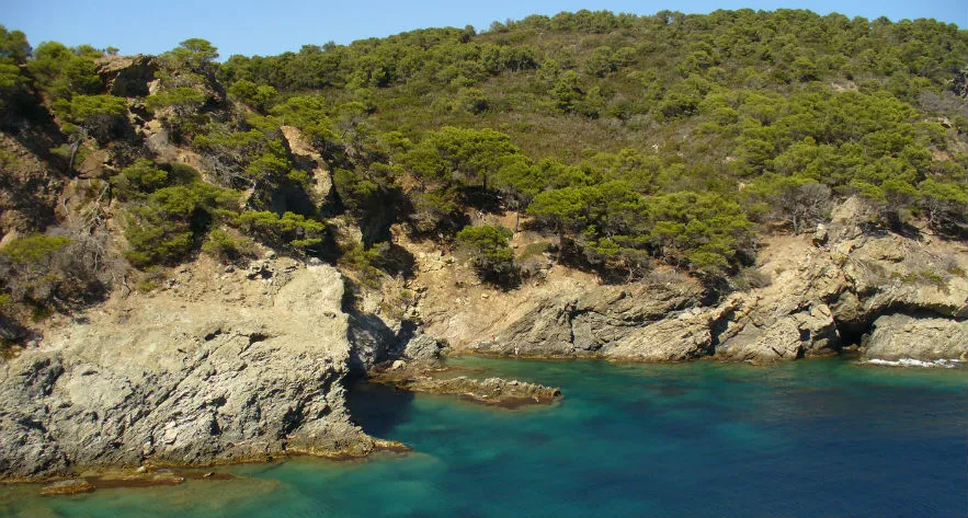 Camping L'Ile d'Or Provence-Alpes-Côte d'Azur - Hyères visuel 32/35