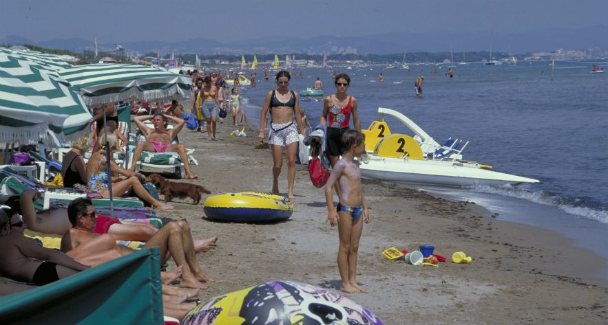 L'Ile d'Or Provenza-Alpes-Costa Azul - Hyères visuel 16/32