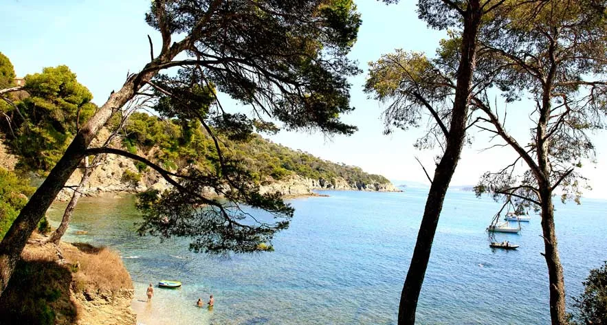 Camping L'Ile d'Or Provence-Alpes-Côte d'Azur - Saint-Raphaël visuel 8/9