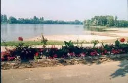 Camping l'Île du Château Pays de Loire - Les Ponts-de-Cé visuel 2/7
