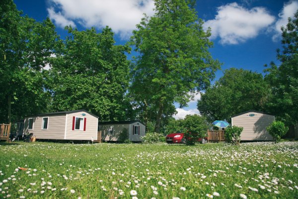 L'Isle Verte Paesi della Loira - Montsoreau visuel 28/28