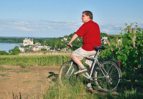 L'Isle Verte Paesi della Loira - Montsoreau visuel 24/28