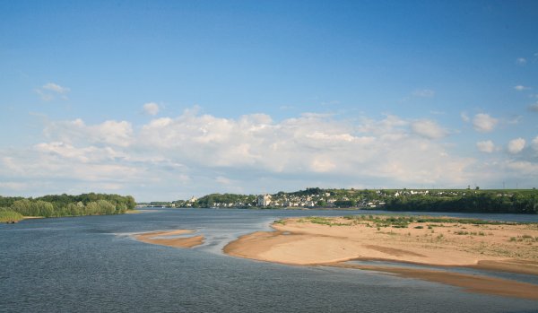 L'Isle Verte Paesi della Loira - Montsoreau visuel 22/28